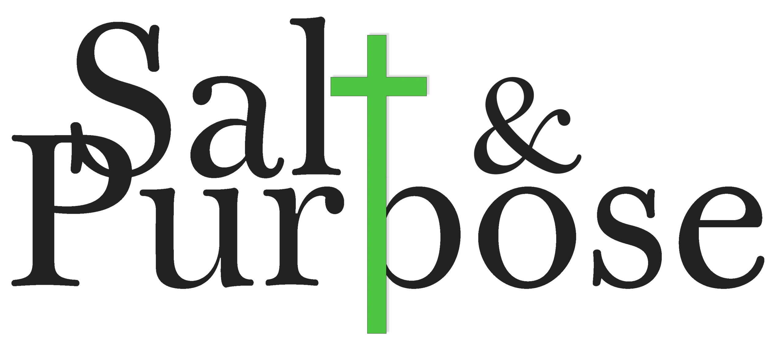 Salt and Purpose Logo